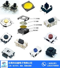 東莞市志順電子 專業(yè)供應(yīng)硅膠輕觸開關(guān)，連接珠海等地的可靠批發(fā)合作伙伴